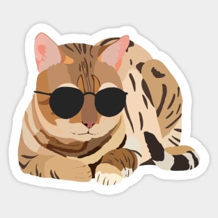 Cool Cat, Cat with Sunglasses, Chill Kitty Sticker